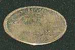 2 Reales from 1720
