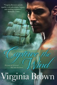 Cover
                                  Art: Capture the Wind