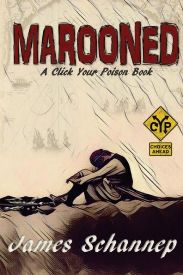 Cover Art: Marooned