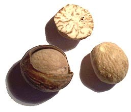 Nutmeg (Wikipedia:
                    https://commons.wikimedia.org/wiki/File:Muscade.jpg