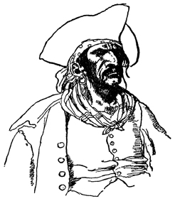 Pirate by Howard
                      Pyle, 1921 (Source: Dover's PIRATES)