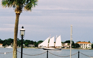 Schooner
                    Freedom