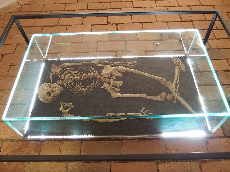 Skeleton
of man 25-30 years old executed by wheels
(Source:
https://commons.wikimedia.org/wiki/File:Hinrichtung_durch_R%C3%A4dern,_Skelett.jpg)
