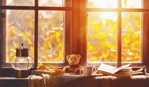 Teddy
                          bear, cup of morning tea, and a book to read