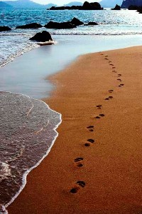 Footsteps
                  in the sand