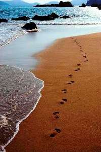 Footsteps
                  in the sand