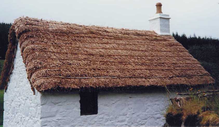 Picture
                  of cottage