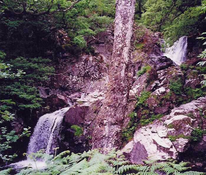 Picture of
                  waterfall