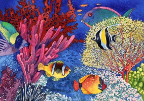 Fish and coral in the
                  ocean