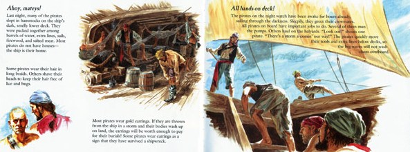 The Ultimate Pirate Handbook 