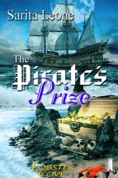 Cover Art: The Pirate's Prize